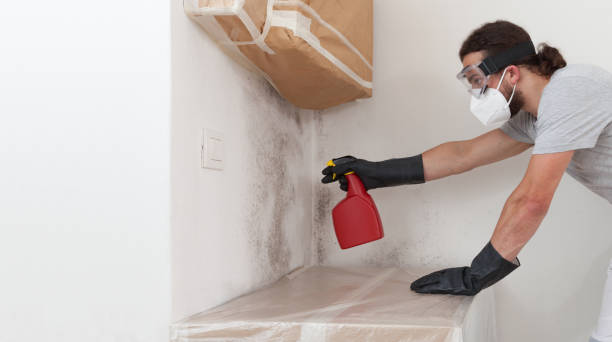 Professional Basement Mold Remediation technician working in Richfield, PA