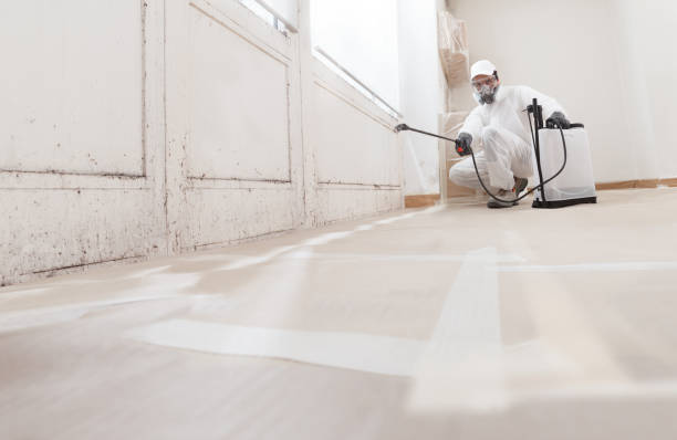 24/7 Emergency Basement Mold Remediation experts in Richfield, PA