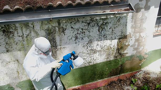 Trusted Black Mold Removal service in Richfield, PA - Cheap Mold Removal
